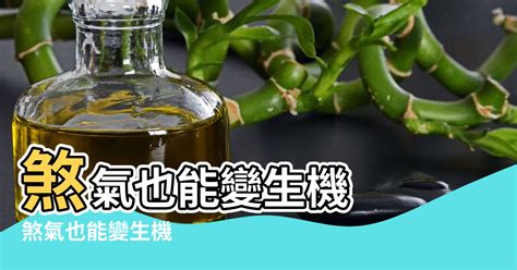 窗外有蜂巢風水